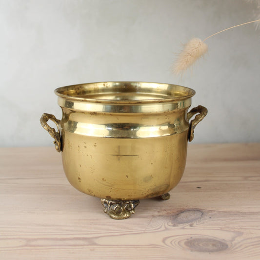 Brass Bucket Plant Pot