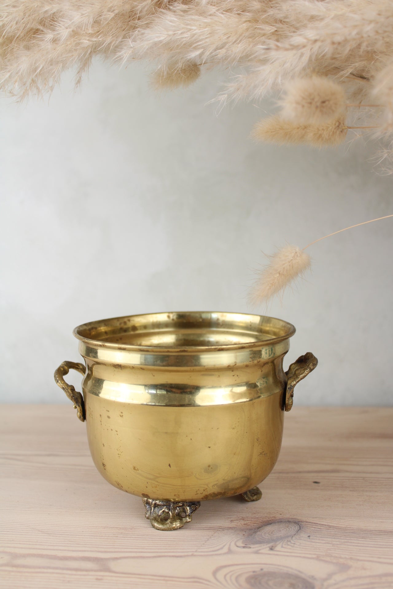Brass Bucket Plant Pot