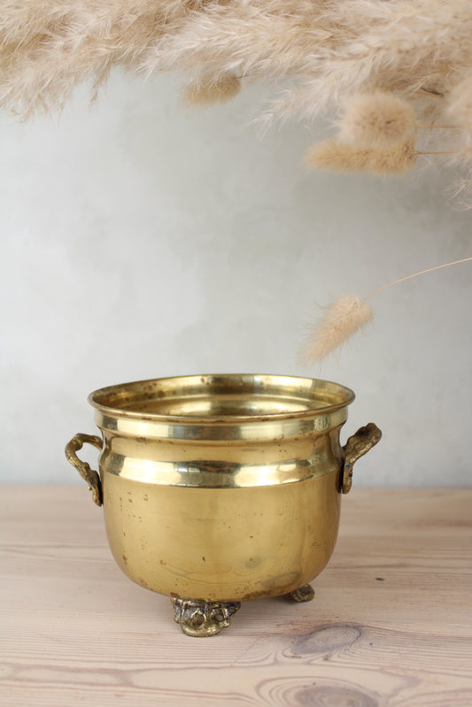 Brass Bucket Plant Pot