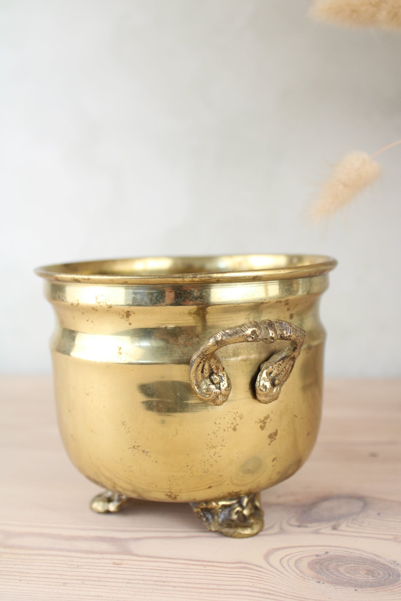 Brass Bucket Plant Pot