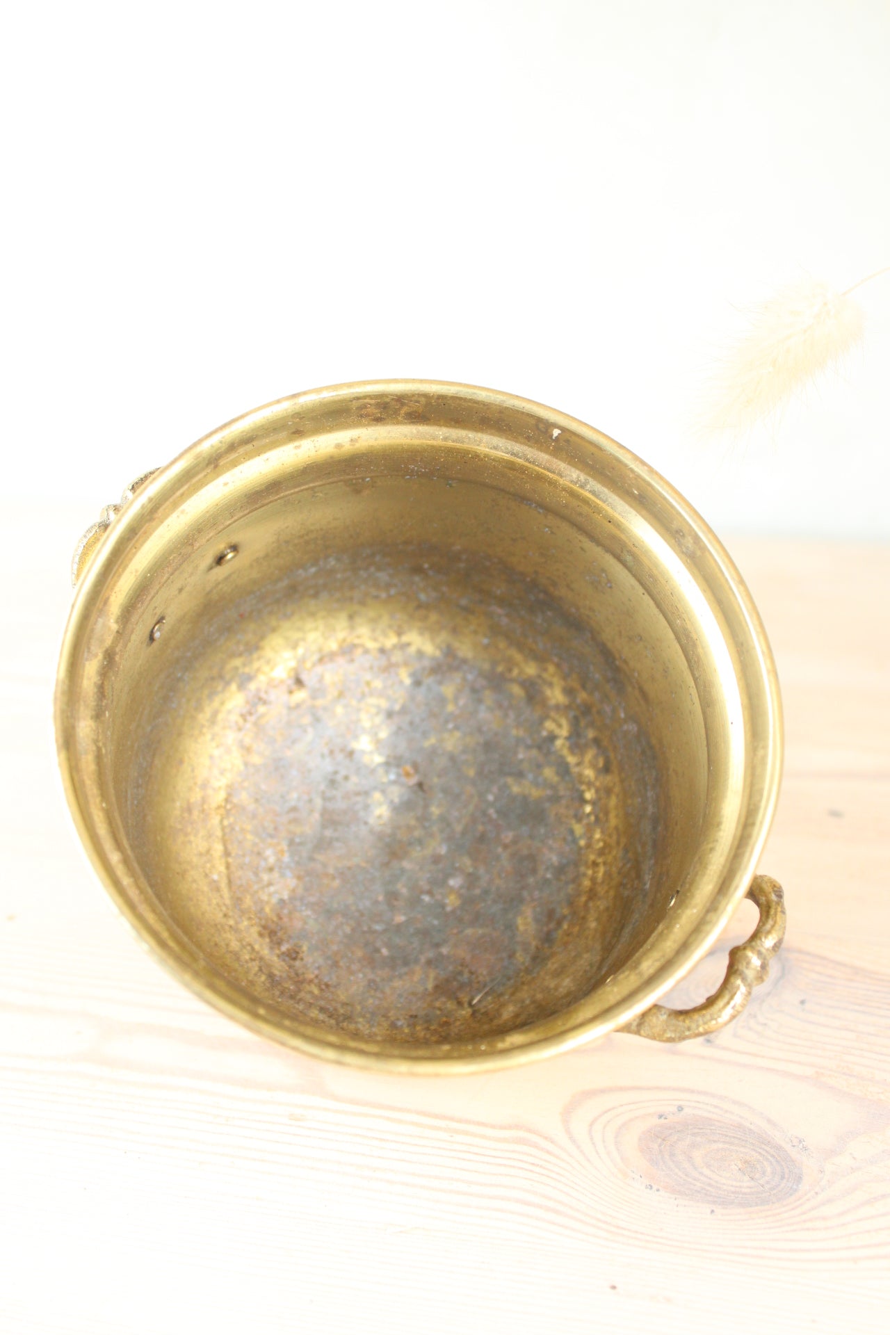 Brass Bucket Plant Pot