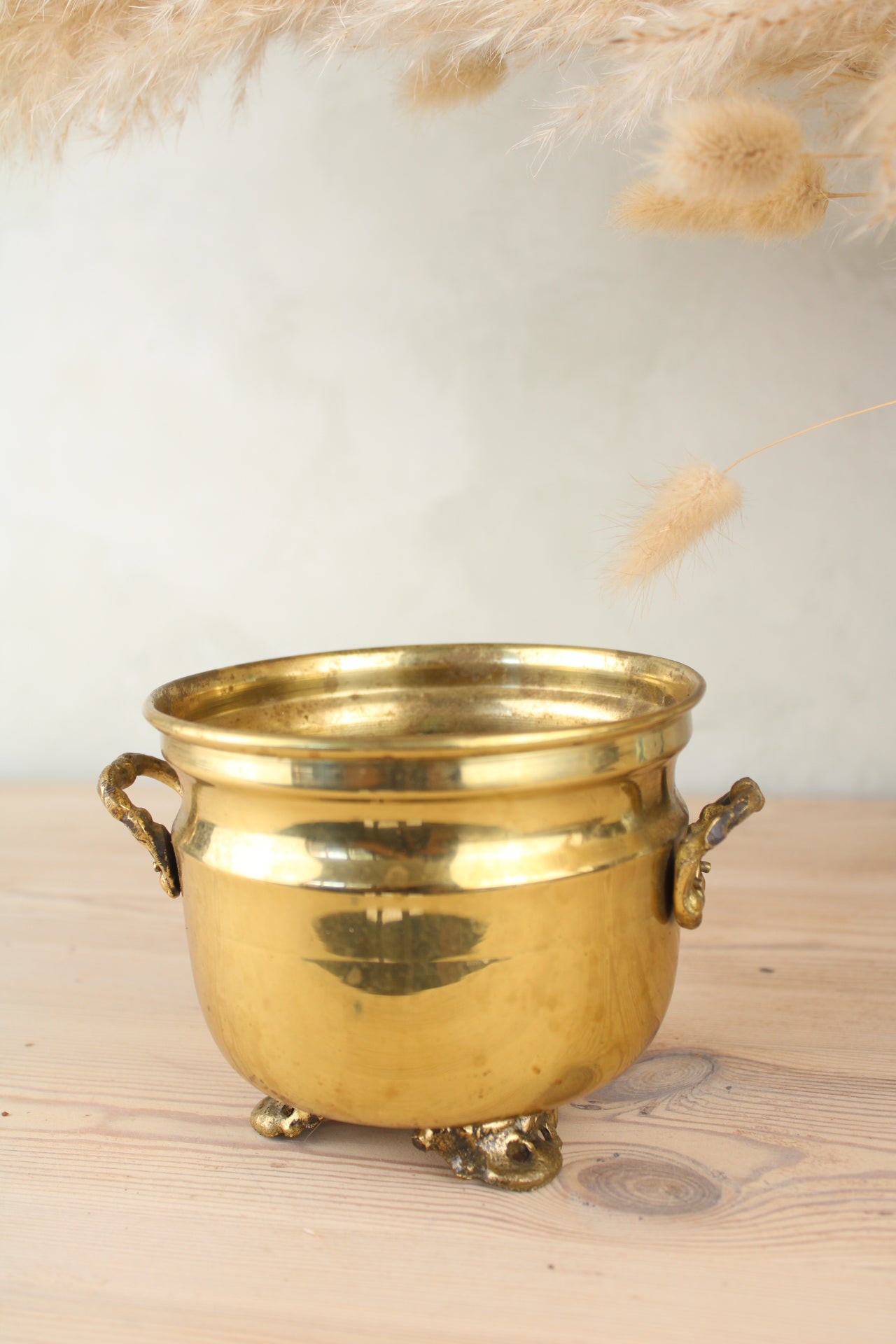 Brass Bucket Plant Pot