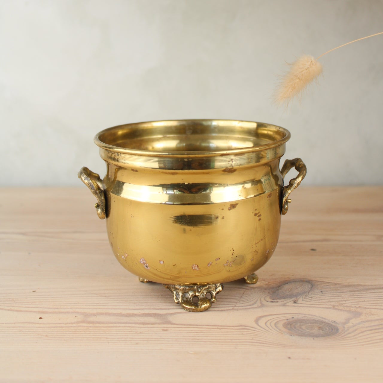 Brass Bucket Plant Pot