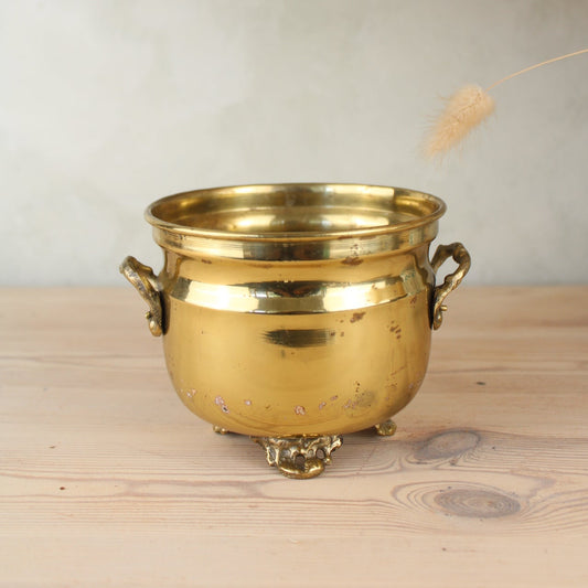 Brass Bucket Plant Pot