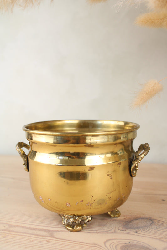 Brass Bucket Plant Pot
