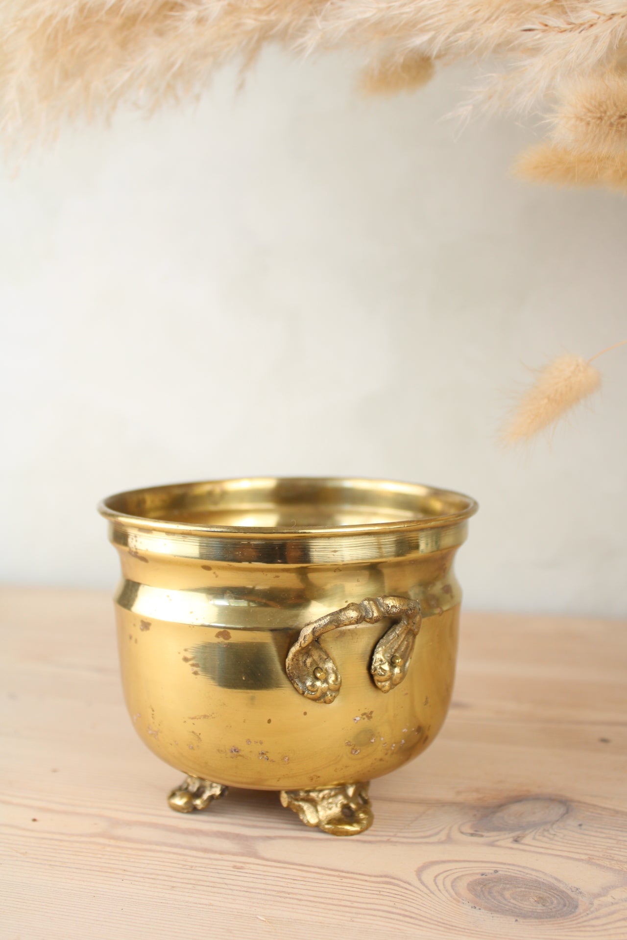 Brass Bucket Plant Pot