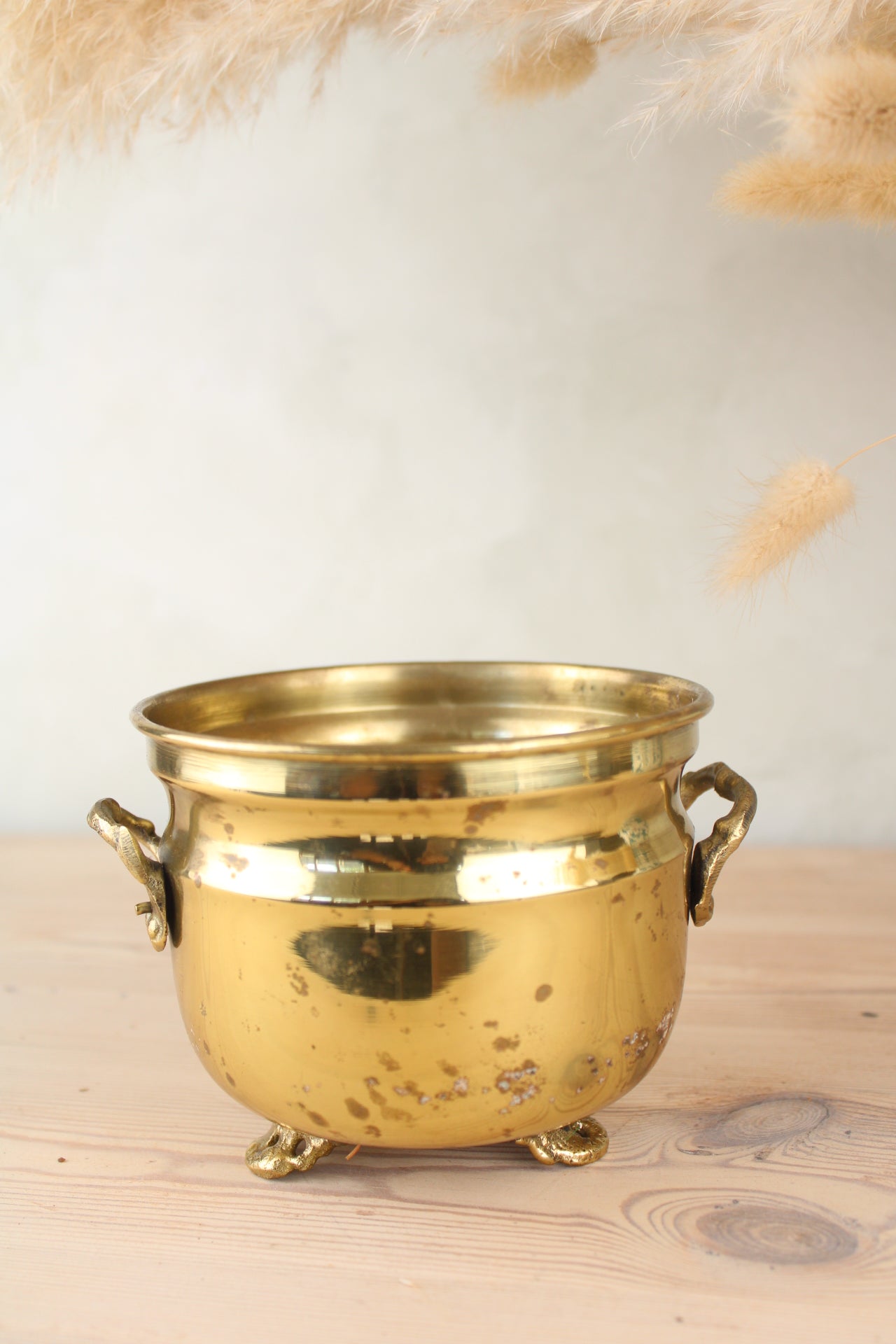 Brass Bucket Plant Pot
