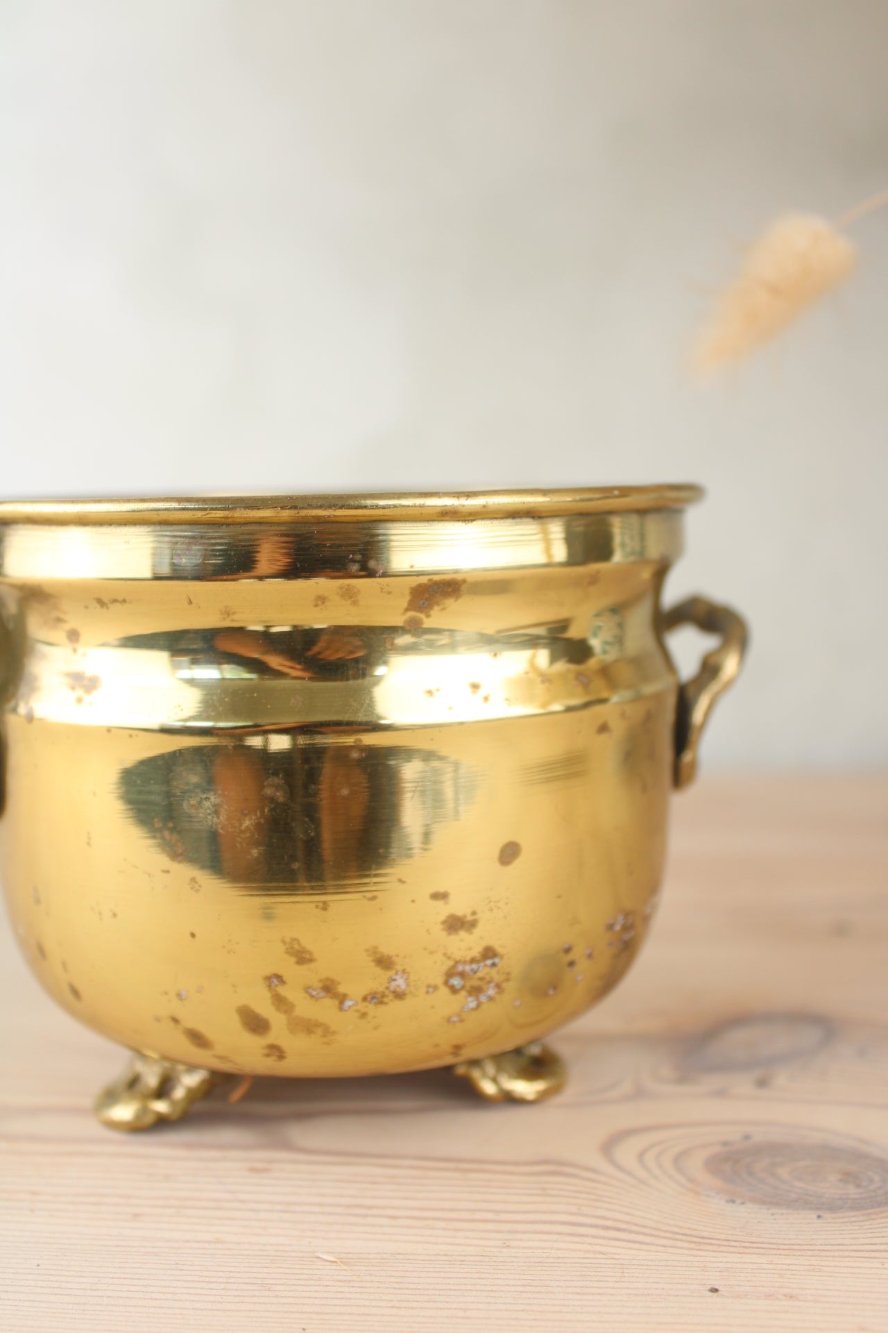 Brass Bucket Plant Pot