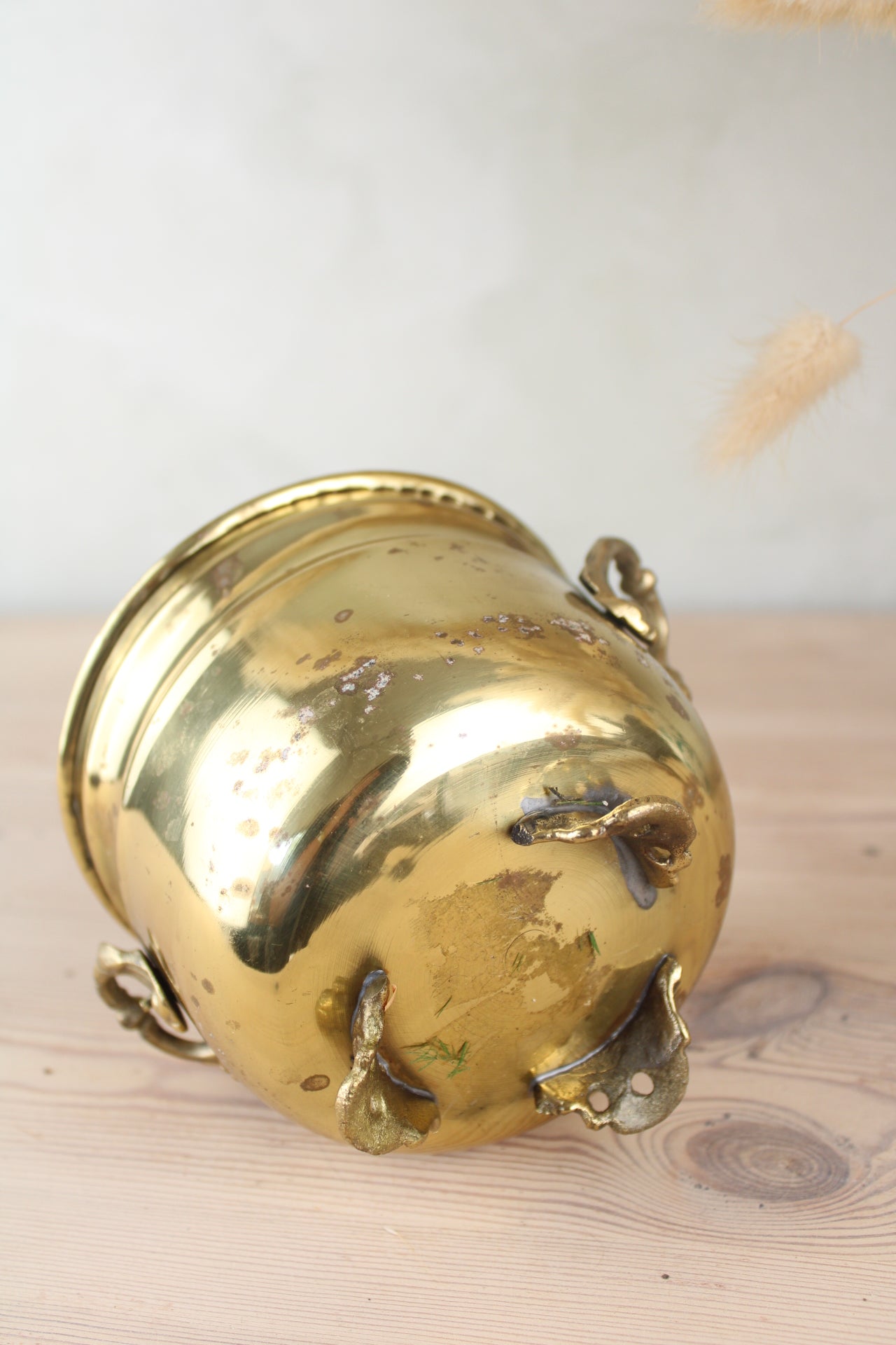 Brass Bucket Plant Pot