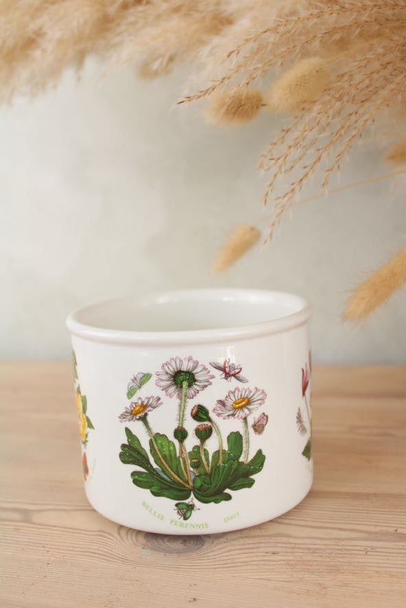 Portmeirion Botanic Garden Plant Pot