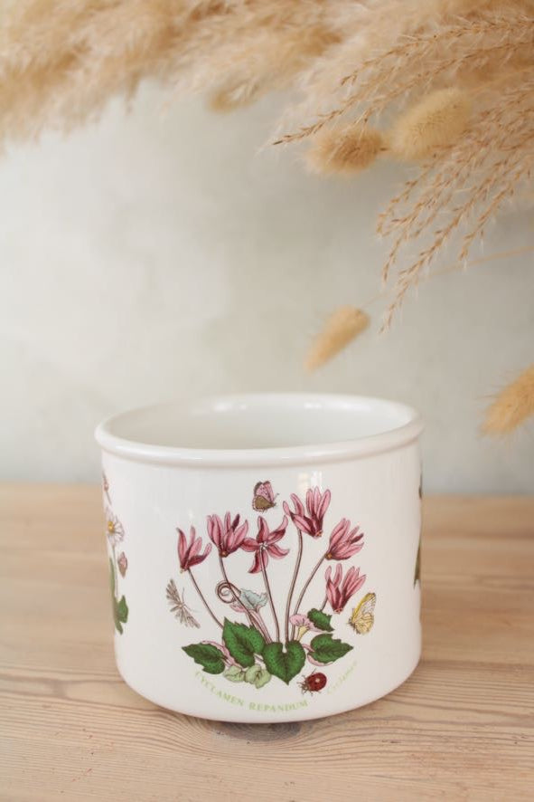 Portmeirion Botanic Garden Plant Pot