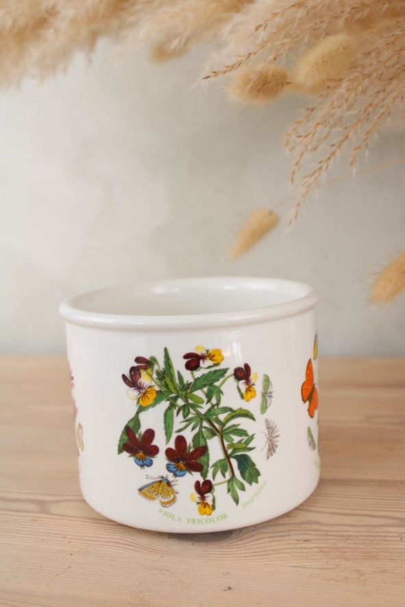 Portmeirion Botanic Garden Plant Pot