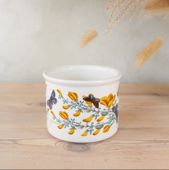 Portmeirion Botanic Garden Plant Pot