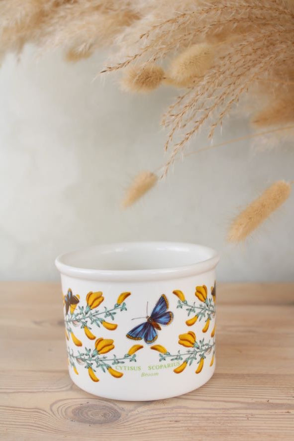Portmeirion Botanic Garden Plant Pot